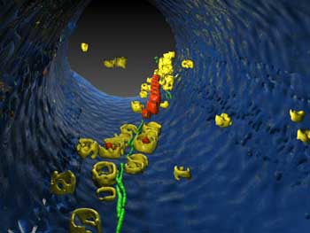 Bild: Max-Planck-Institut für Biochemie